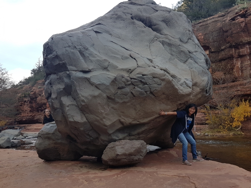 Apple的第一张照片--广东认干亲服务网