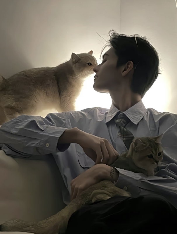 怪猫的第一张照片--广东认干亲服务网