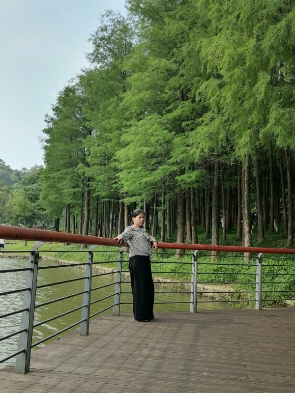 遗失的记忆的第二张照片--广东认干亲服务网