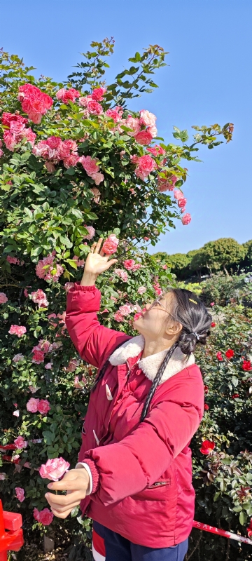 狗狗的第一张照片--广东认干亲服务网